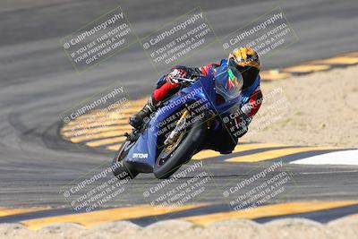 media/Mar-09-2024-SoCal Trackdays (Sat) [[bef1deb9bf]]/1-Bowl Exit (940am)/